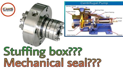 screw conveyor stuffing box|Screw Conveyor Seals .